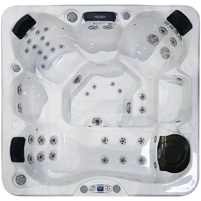 Avalon EC-849L hot tubs for sale in Coconut Creek
